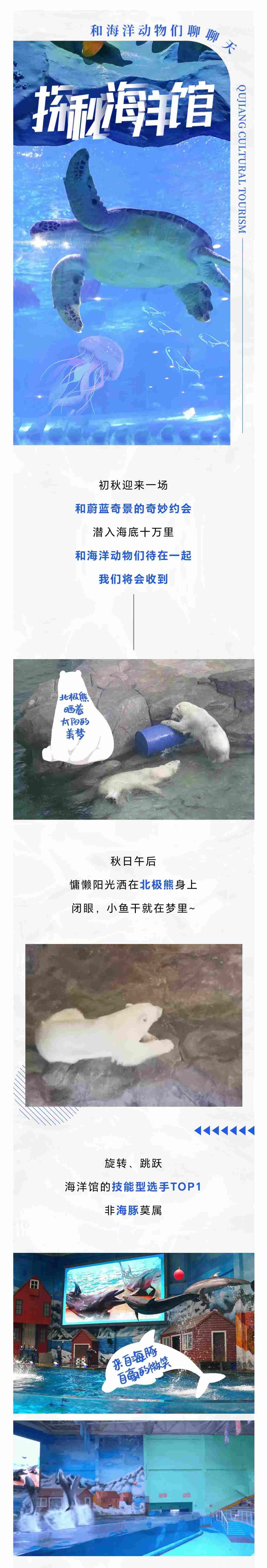 051693910660949449.jpeg
