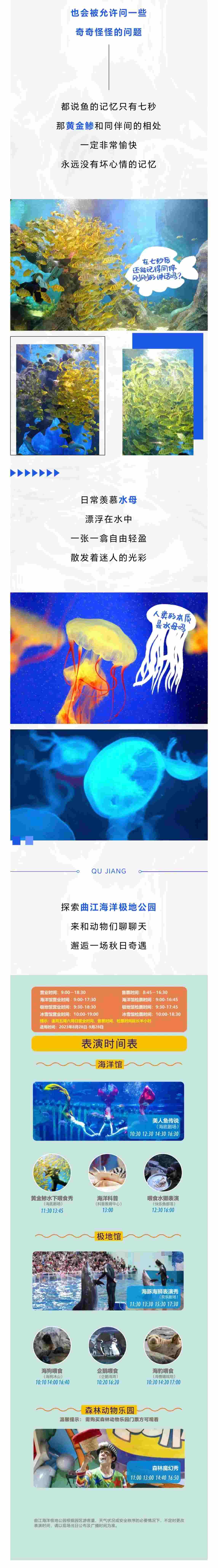 051693910678927457.jpeg