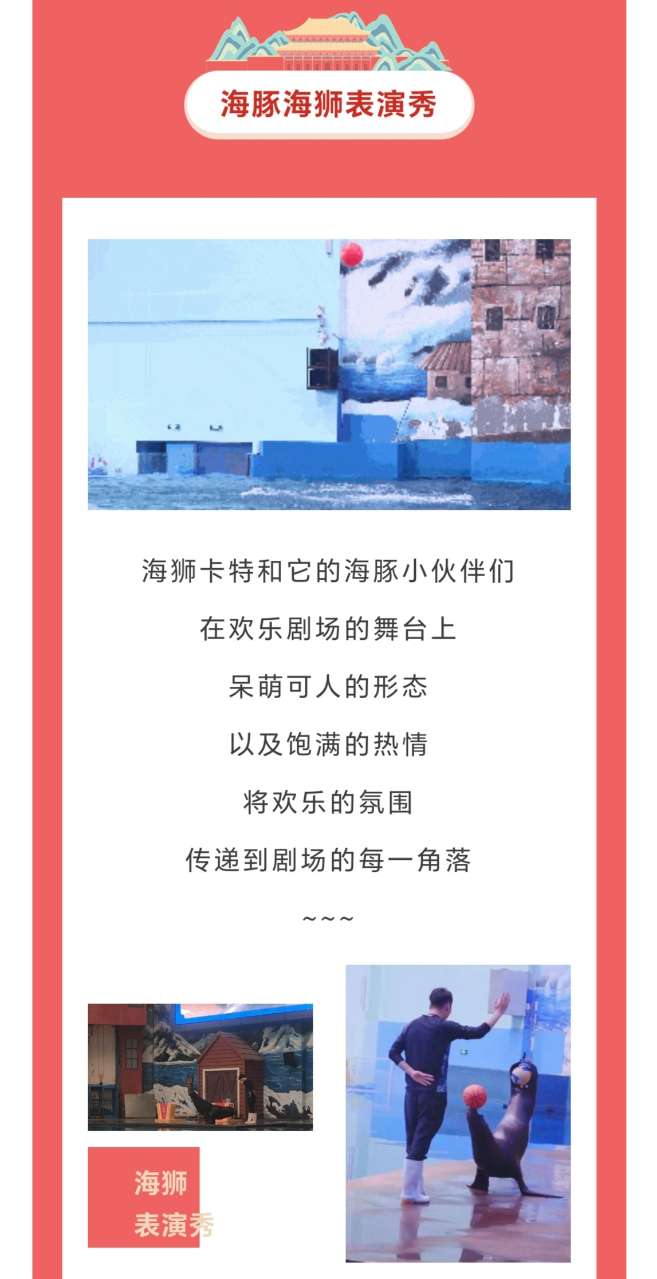 251695634686249162.jpeg
