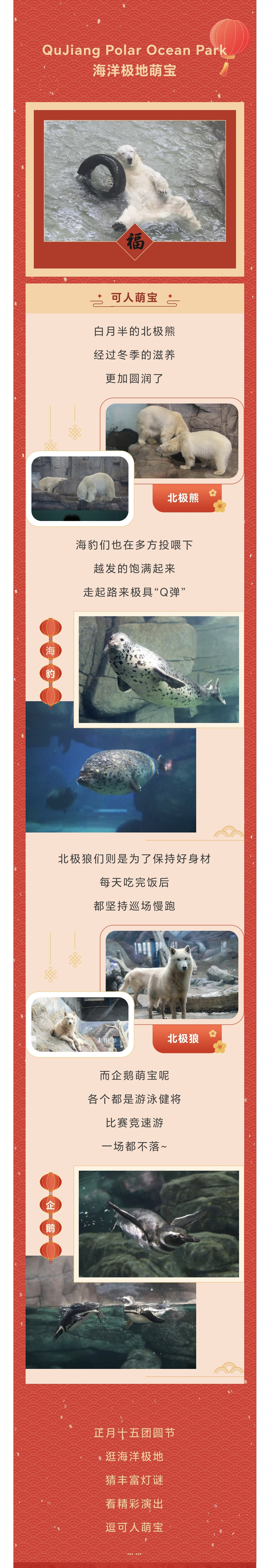 Screenshot_20250210_223826_com_tencent_mm_TmplWebViewMMUI_副本.jpg