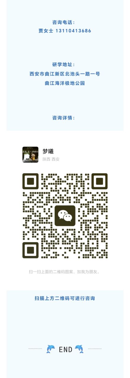211745239595928167.jpeg