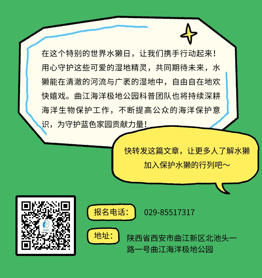 311748663551551165.jpeg