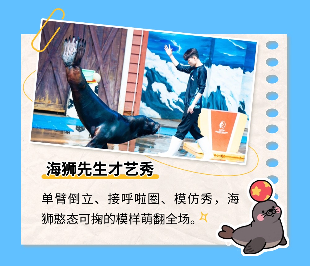 021748859572537328.jpeg
