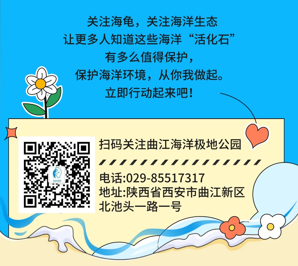 151749954702635506.jpeg