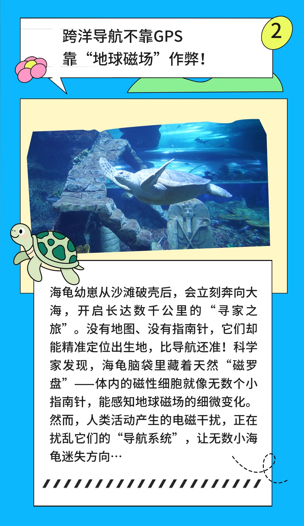 151749954758735754.jpeg