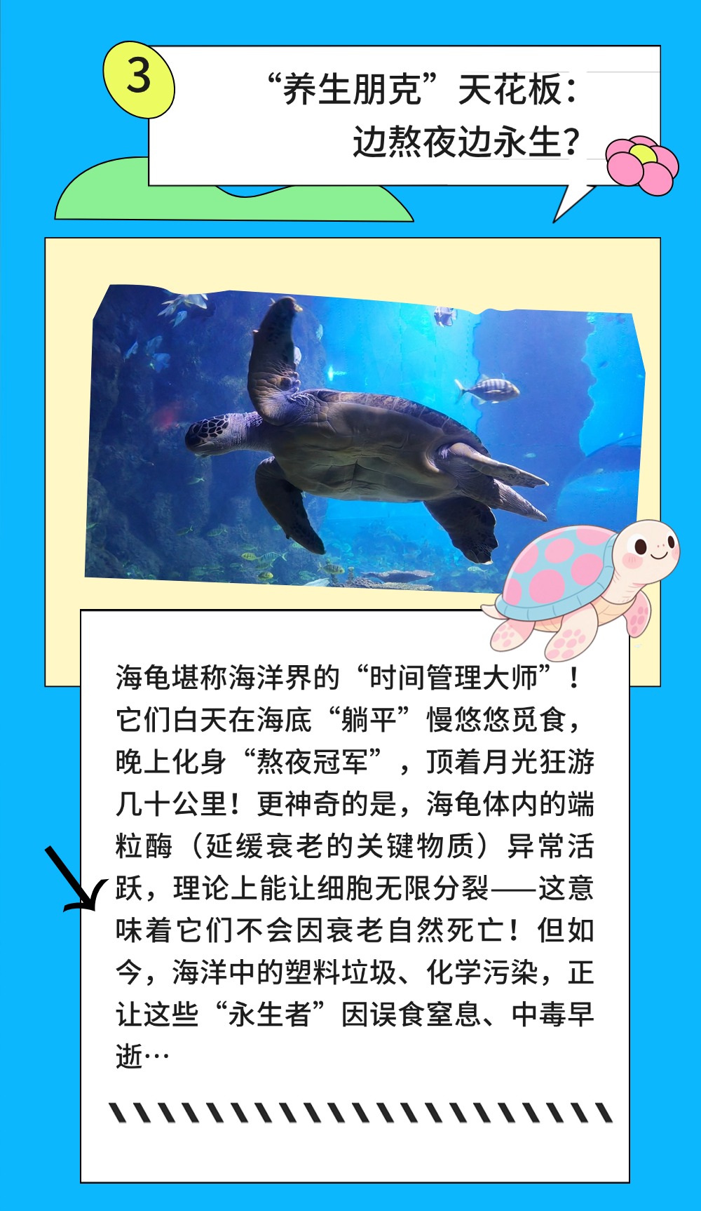 151749954780572364.jpeg