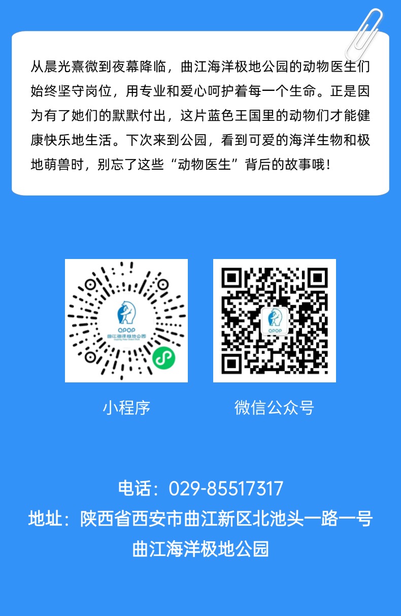 261750907122218249.jpeg