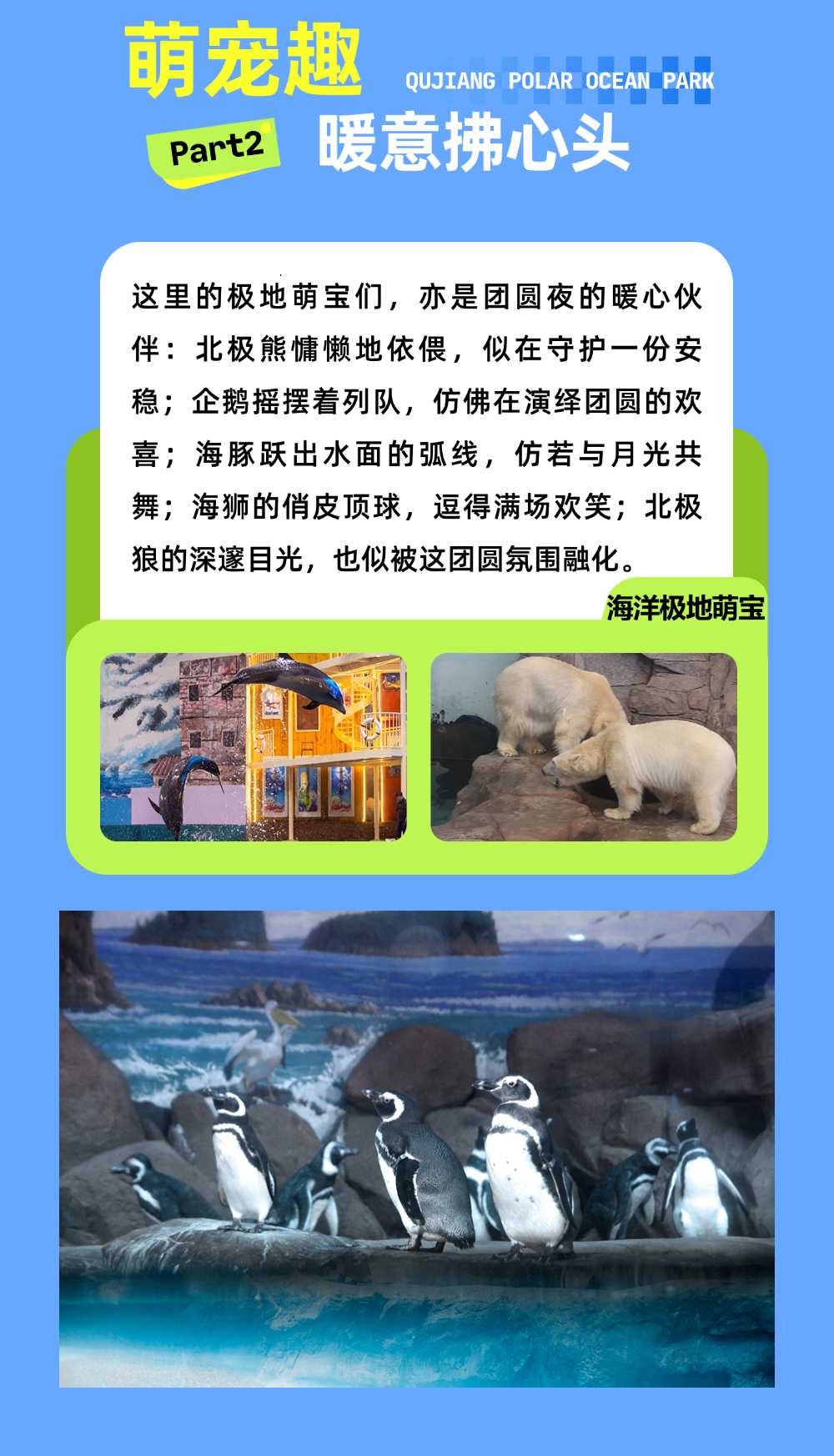 加急-文章长图-2506PGC-户外露营活动-3d毛绒结合玻璃元素-文章长图-外部AI - 副本 (3).jpg