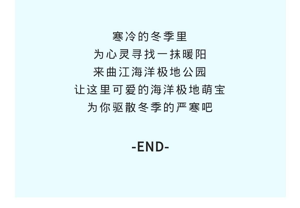 101673342902952936.jpeg