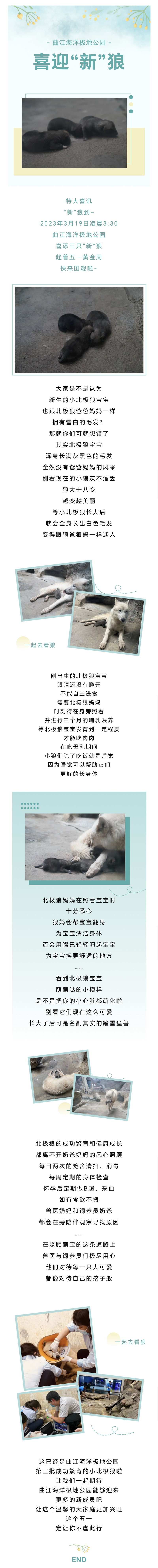 Screenshot_20230421_163721_副本.jpg