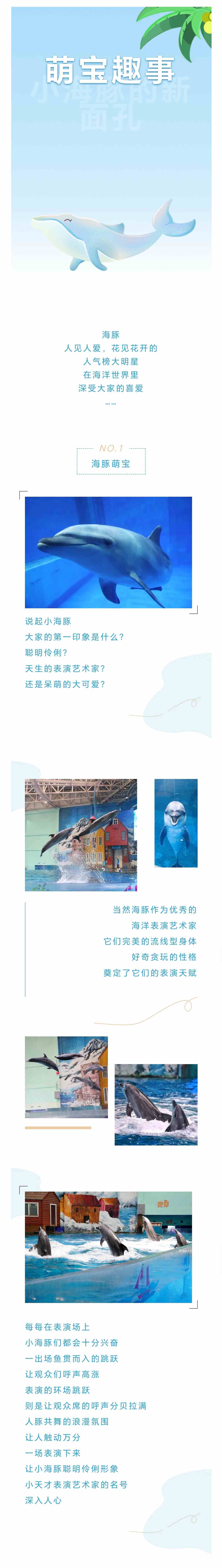 041688466235178998.jpeg
