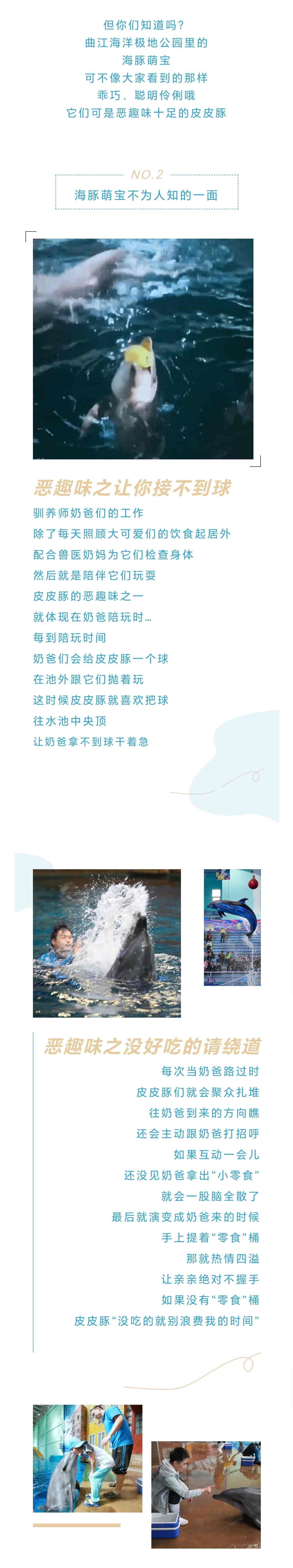 041688466251109095.jpeg