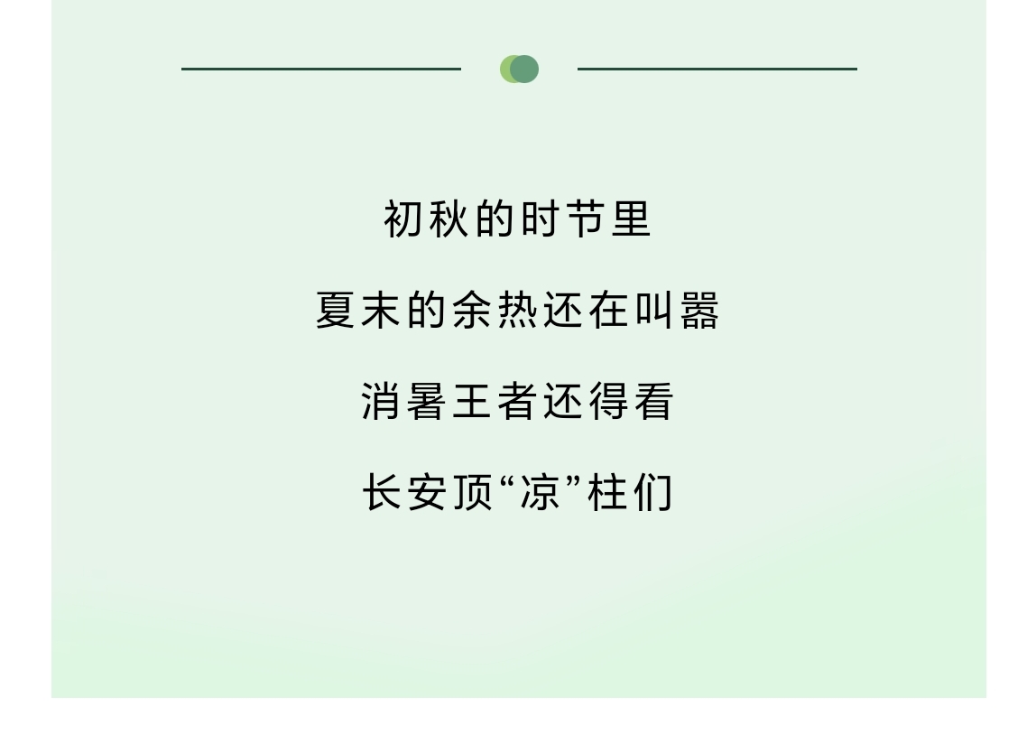 131691918449401667.jpeg